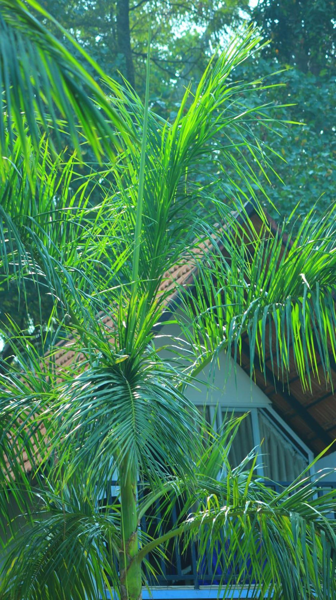 Ripples Service Villas Kollam Exteriér fotografie
